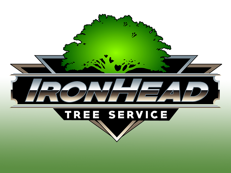 Lakeland Website Design